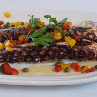 Octopus